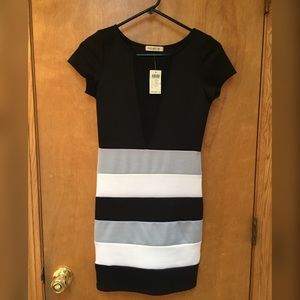 NWT Mesh V Body Con Dress